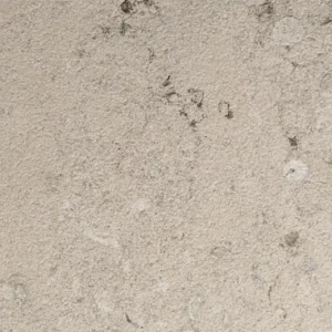 Amonite Grey