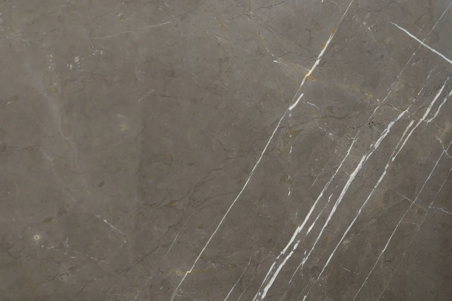Pietra Grey